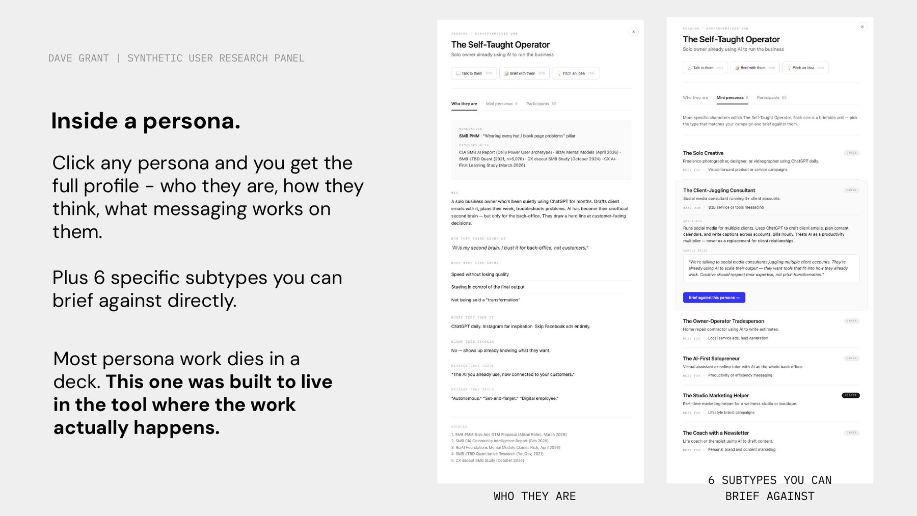 Inside a persona: full profile plus six briefable subtypes